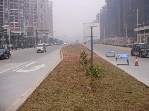开云体育-足球篮球官方直播平台
坦洲界狮南路