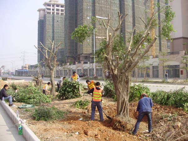 开云体育-足球篮球官方直播平台
坦洲界狮南路